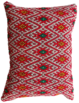 Ain Leuh Small Lumbar Pillow - Repetitive Lion Paw
