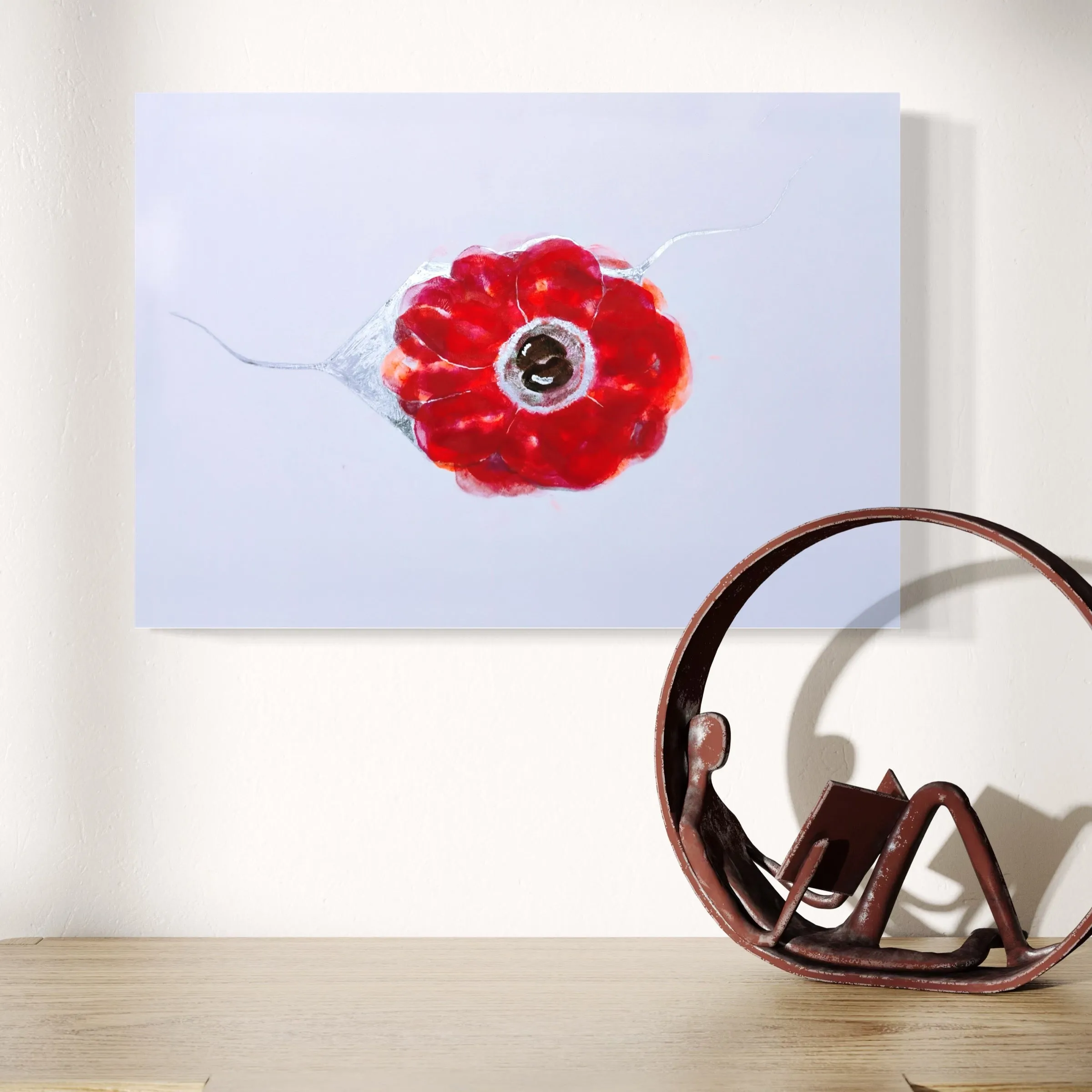 Anemone Coronaria