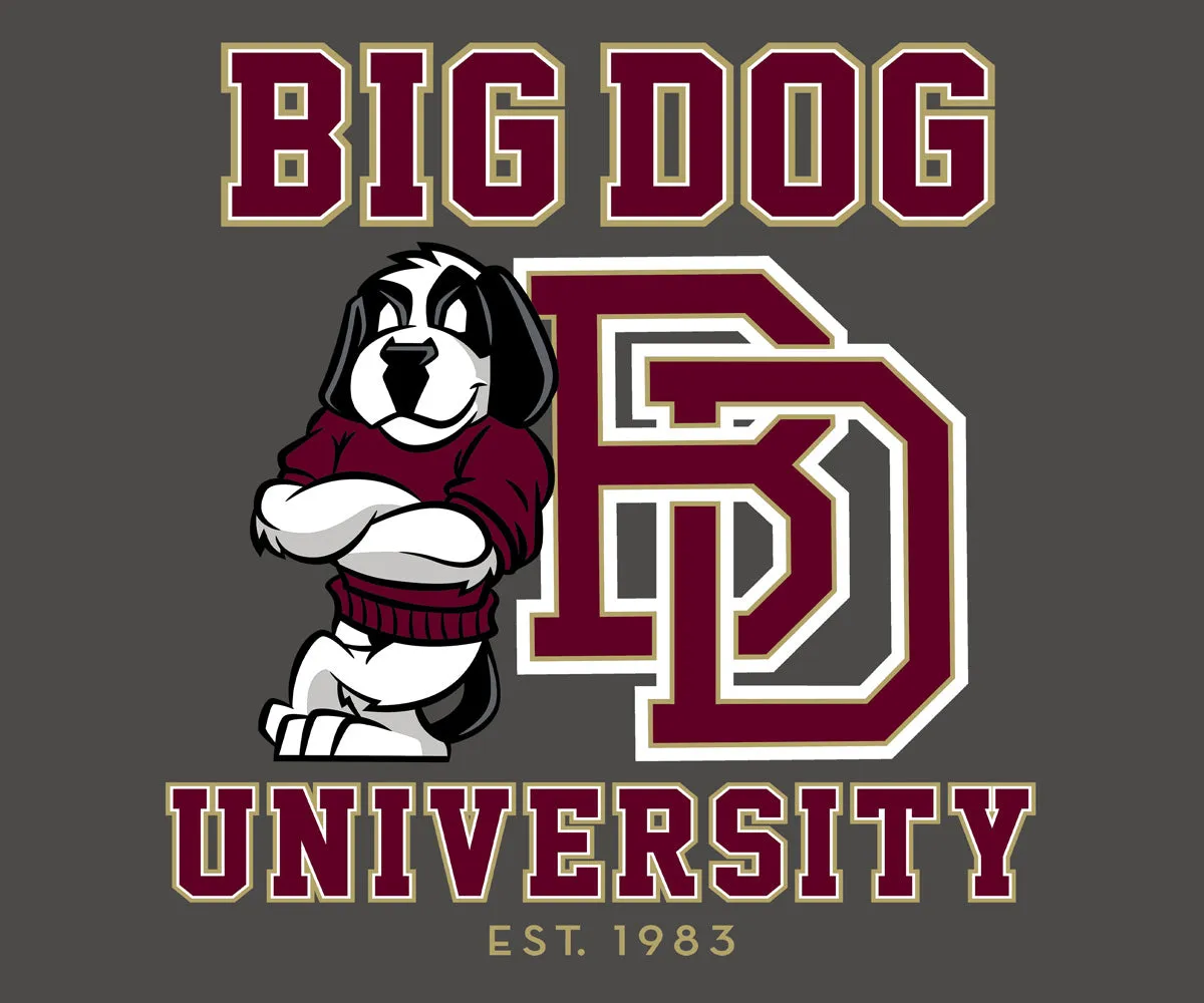 Bd University Burgundy Gold T-shirt