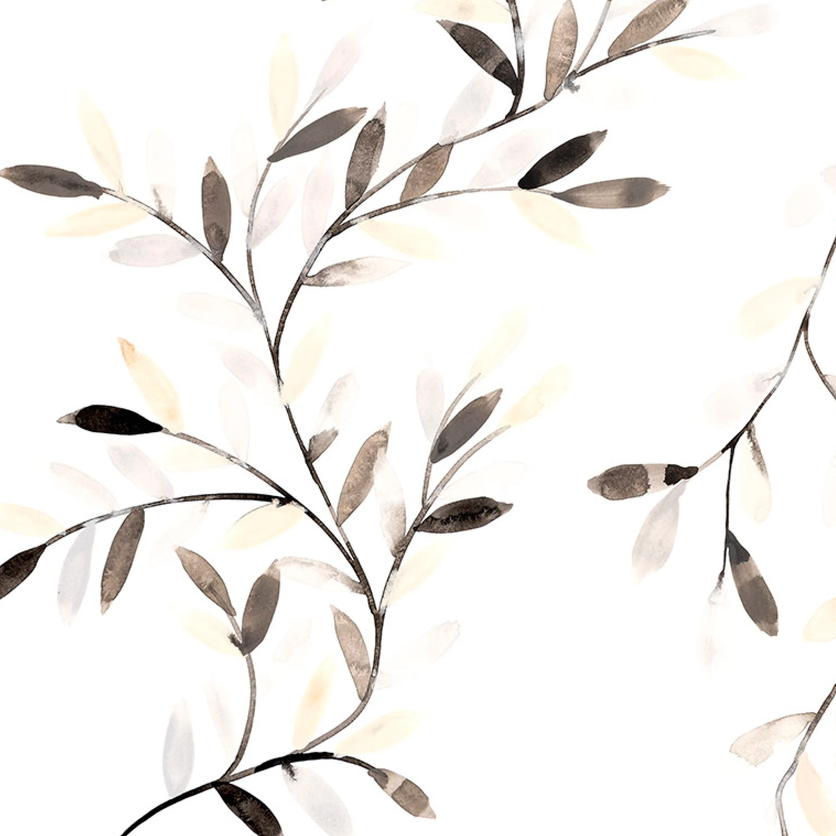 Beth-Charcoal Non-Woven Vellum