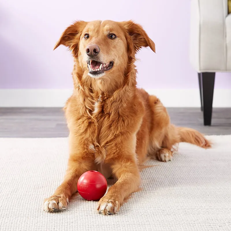 Kong Classic Ball