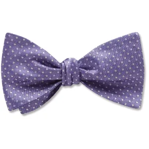 Oriel Lapis - Dog Bow Ties