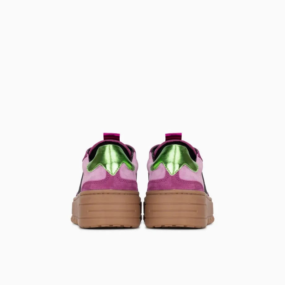Poelman Anemone -  Dark Magenta