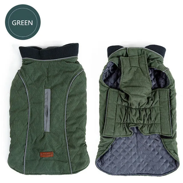 Toasty-Warm Quilted Winter Dog Jacket