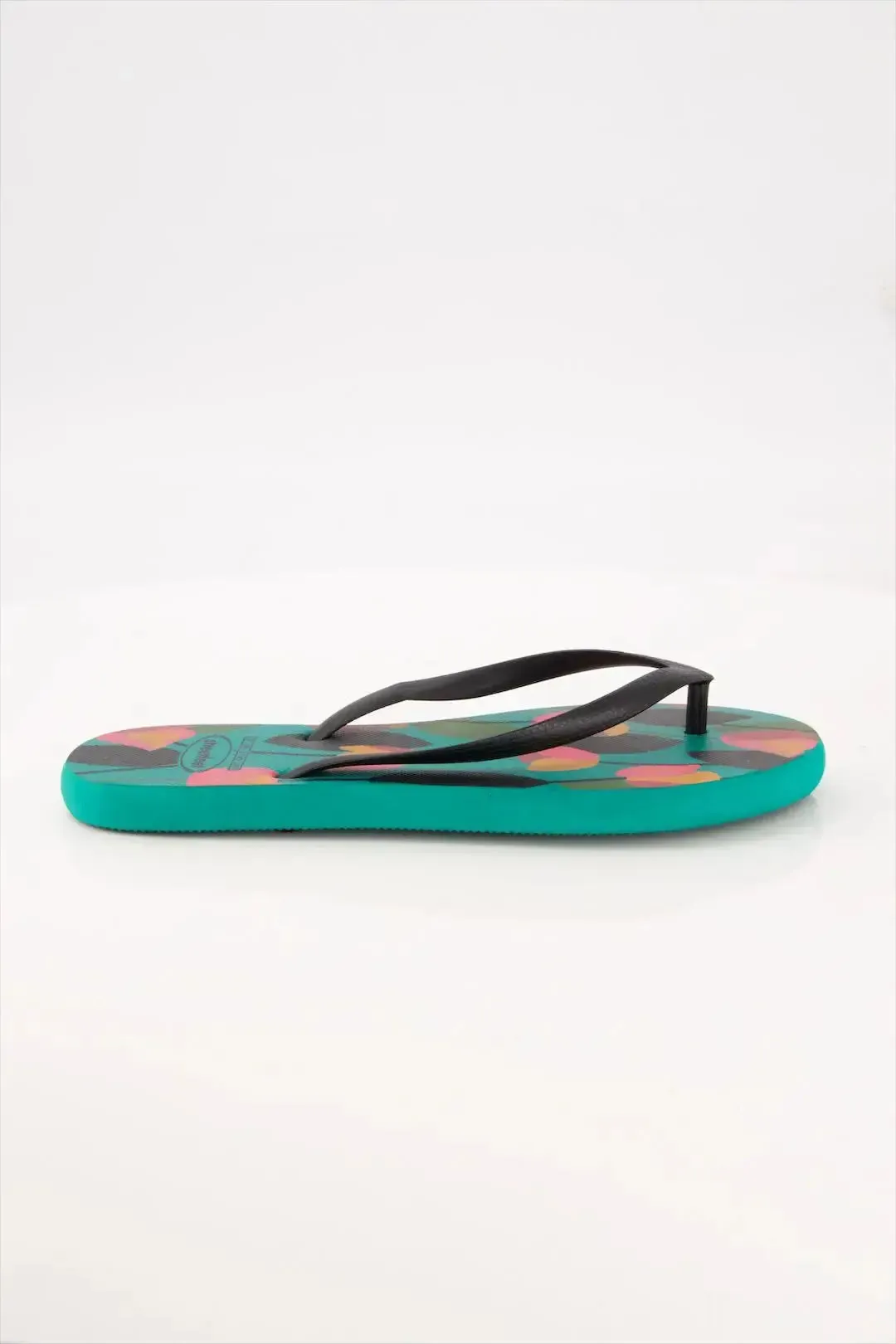 Tulip - Summer Sale