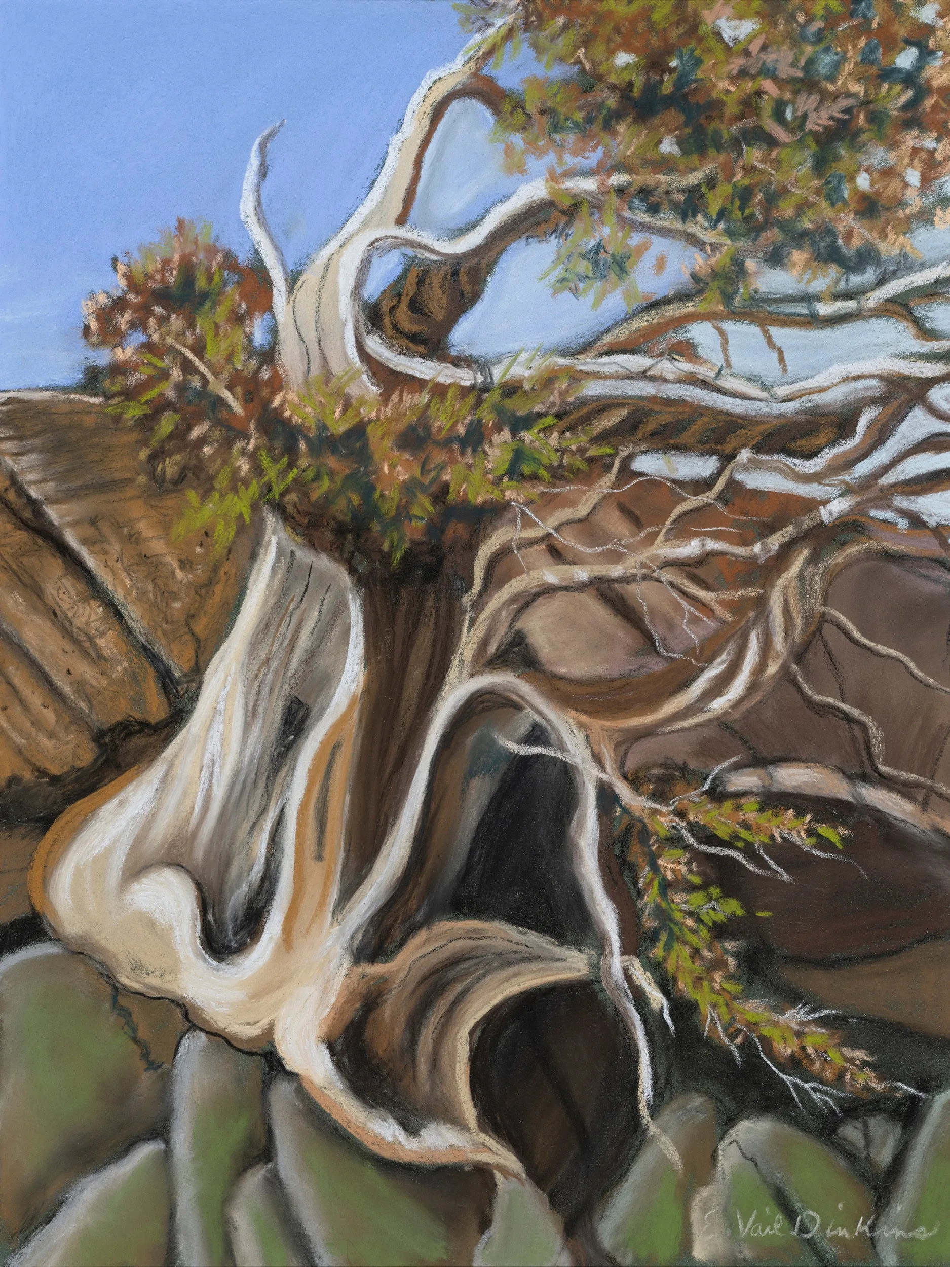 Twisted Forest