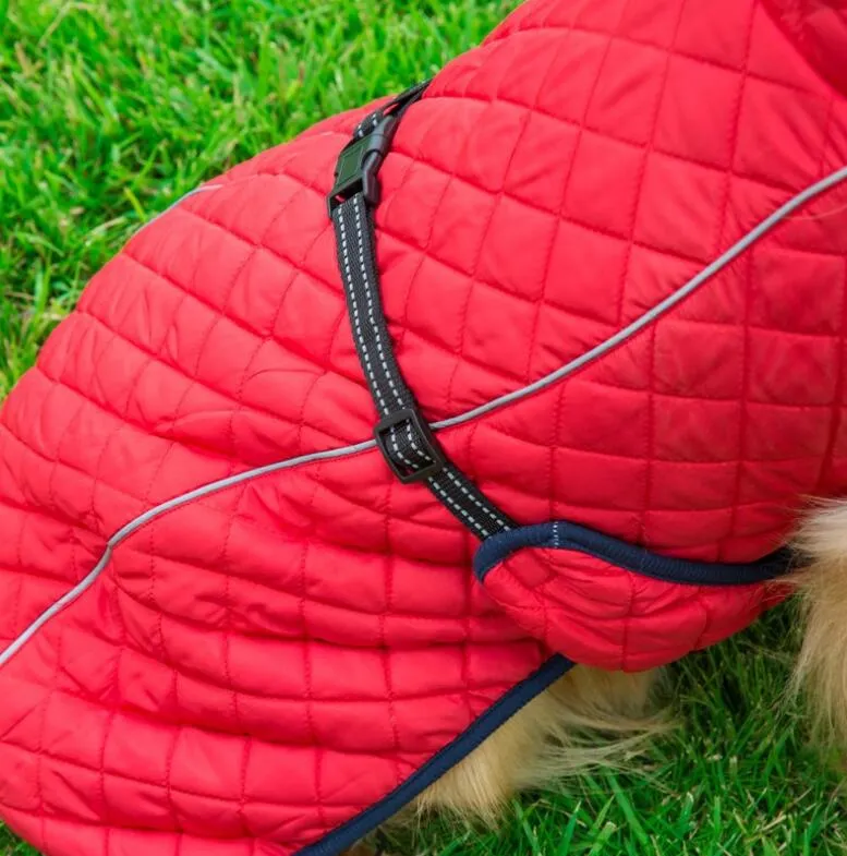 Warm Dog Reflective Outdoor Jacket Vest