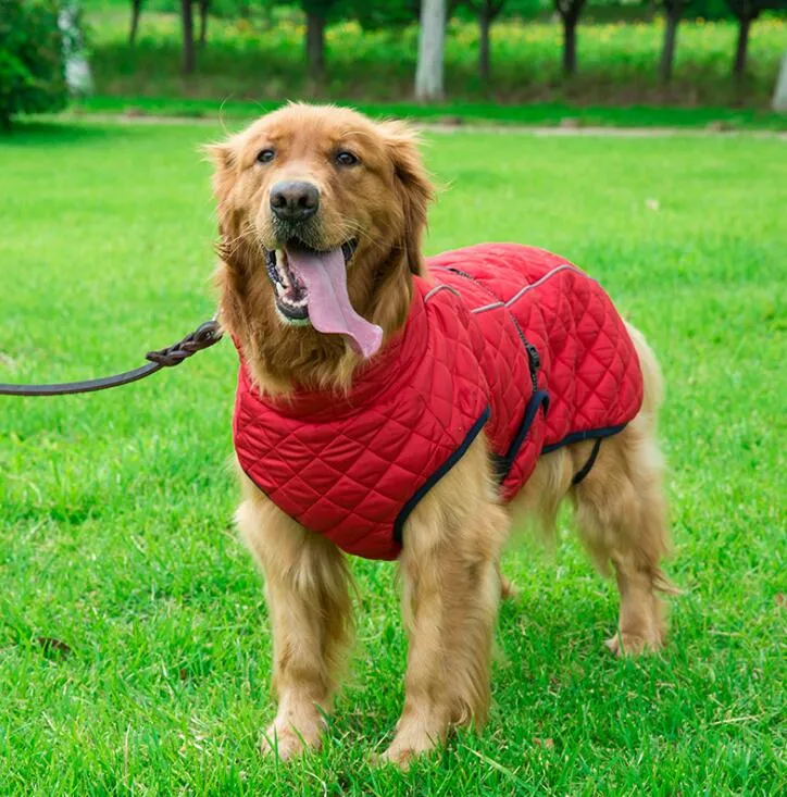 Warm Dog Reflective Outdoor Jacket Vest