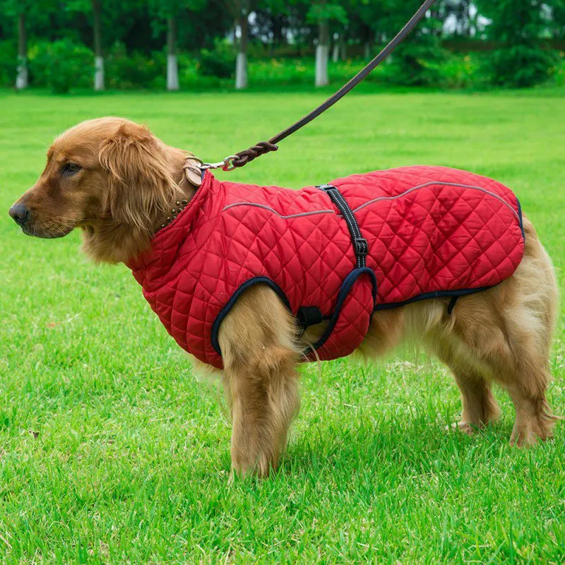 Warm Dog Reflective Outdoor Jacket Vest