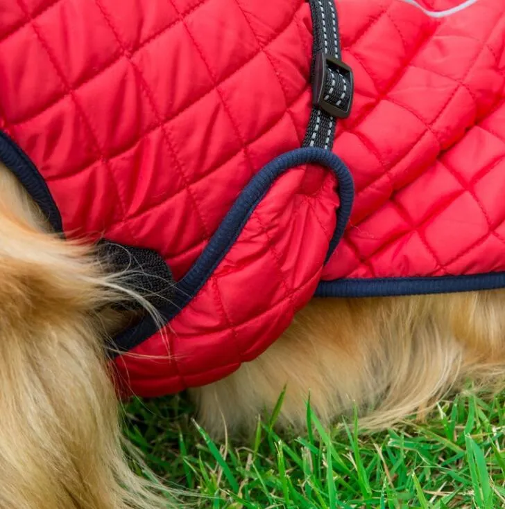 Warm Dog Reflective Outdoor Jacket Vest